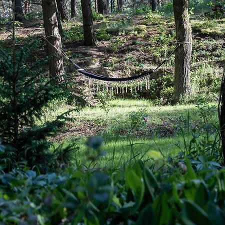 Uroczy Maly Domek Na Lesnej Dzialce - Losiowka Losie Extérieur photo