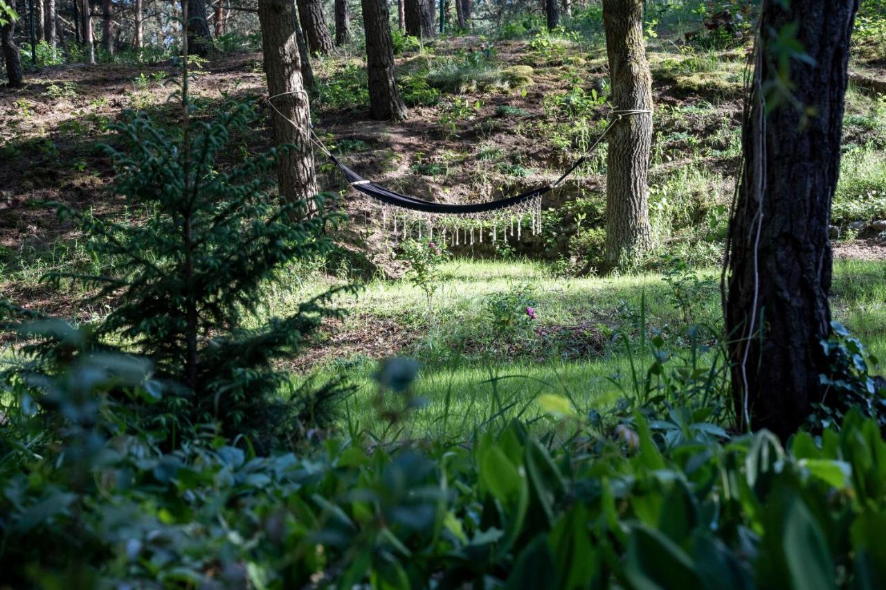 Uroczy Maly Domek Na Lesnej Dzialce - Losiowka Losie Extérieur photo