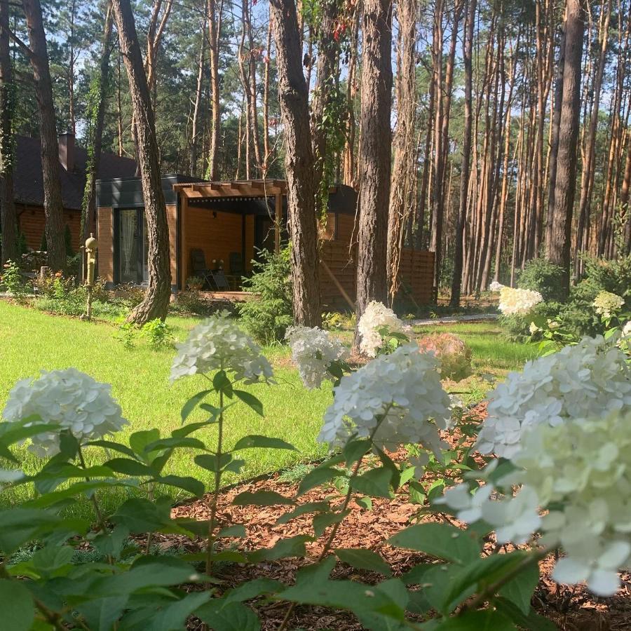 Uroczy Maly Domek Na Lesnej Dzialce - Losiowka Losie Extérieur photo