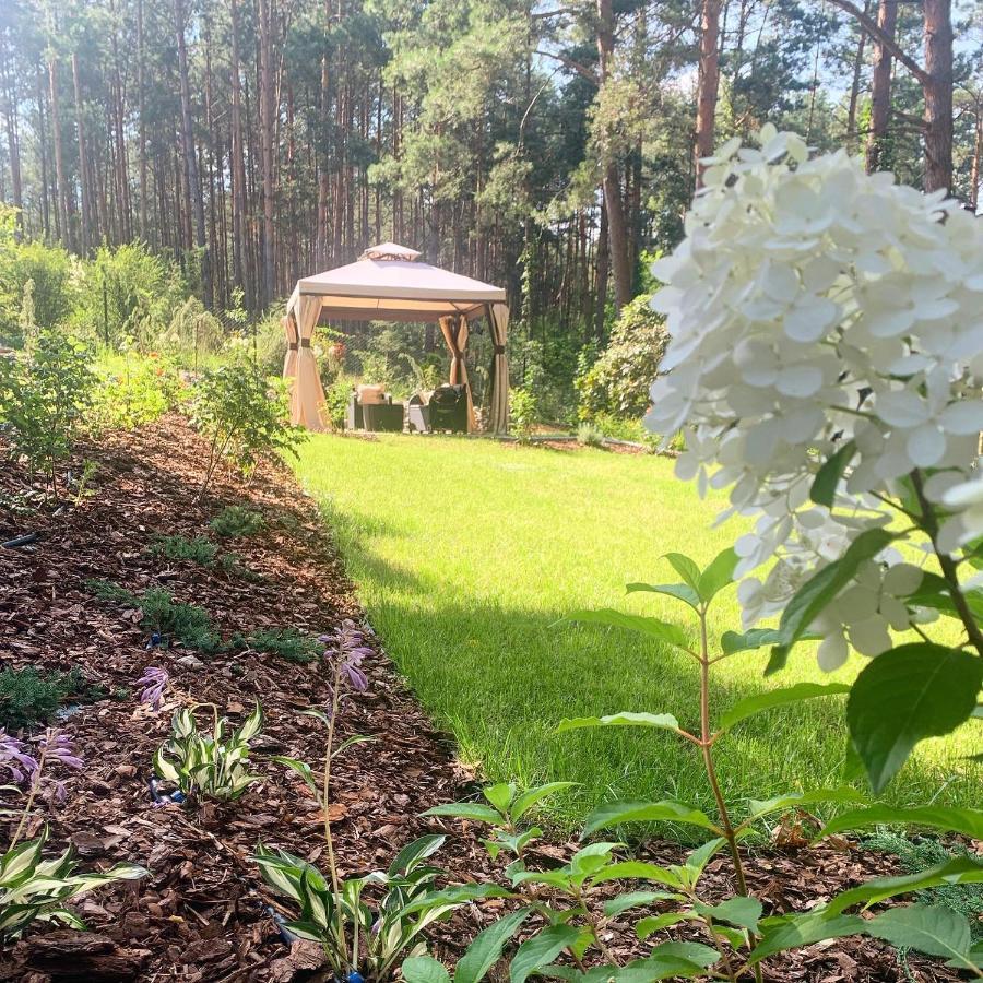 Uroczy Maly Domek Na Lesnej Dzialce - Losiowka Losie Extérieur photo